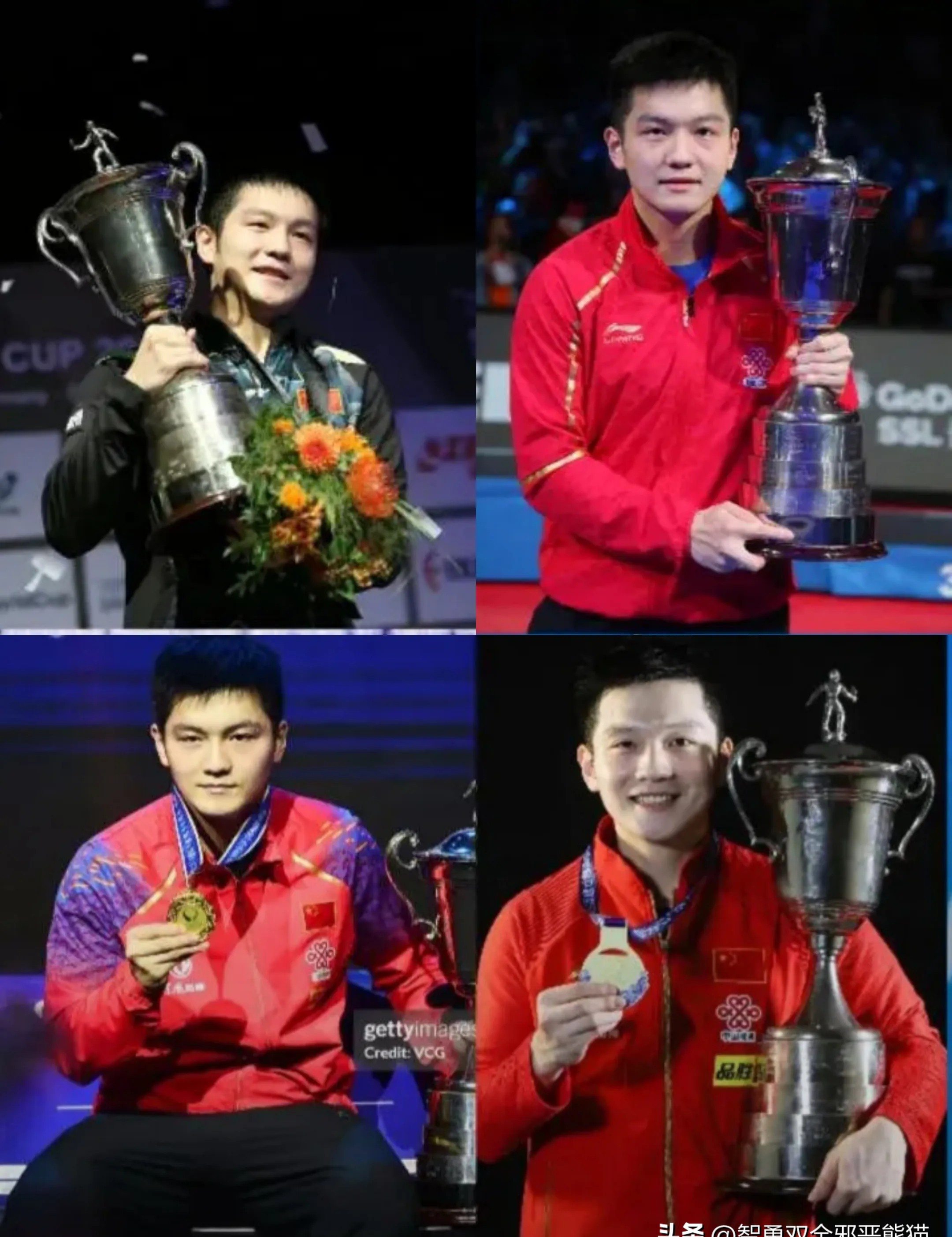 关于日本乒乓球队强势波兰乒乓球队,樊振东制霸全场的信息 关于日本乒乓球队强势波兰乒乓球队,樊振东制霸全场的信息