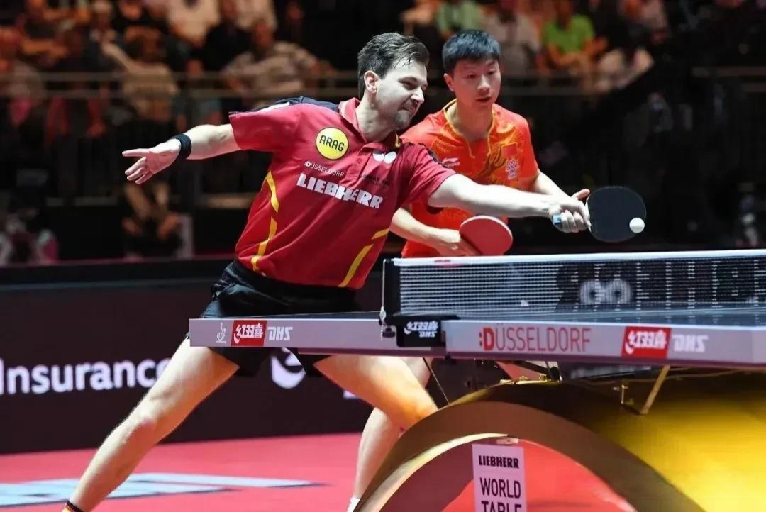 比利时乒乓球队碾压奥地利乒乓球队，波尔惊艳世界的简单介绍